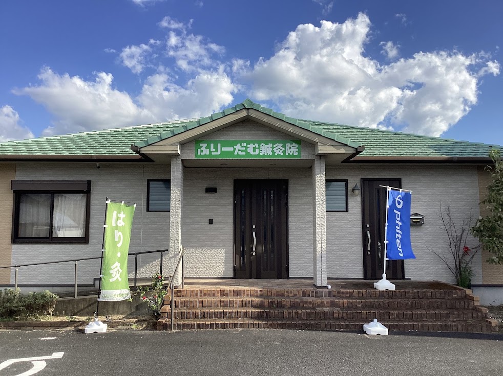 ふりーだむ鍼灸整体院 あおぞら院