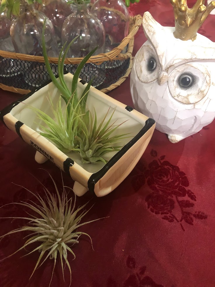 月の都鍼灸院