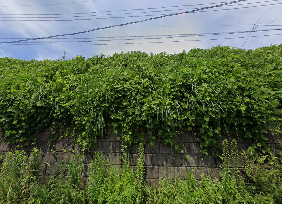 楢木鍼灸院