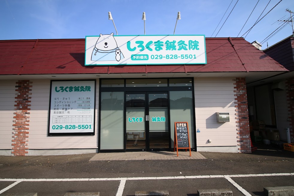 しろくま鍼灸院/しろくまFit