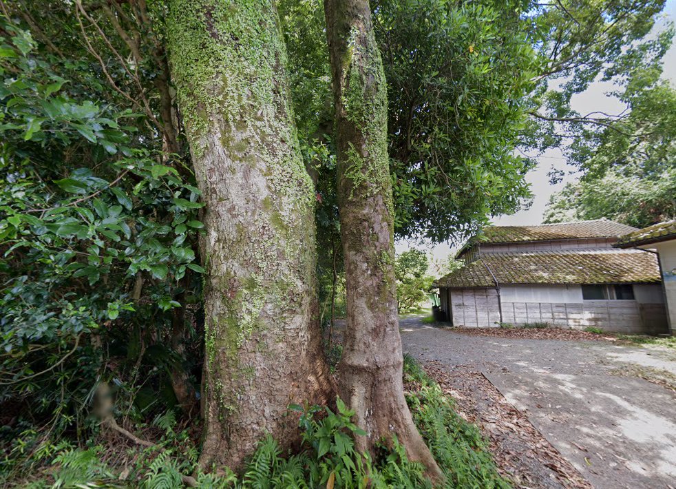 内田鍼灸院