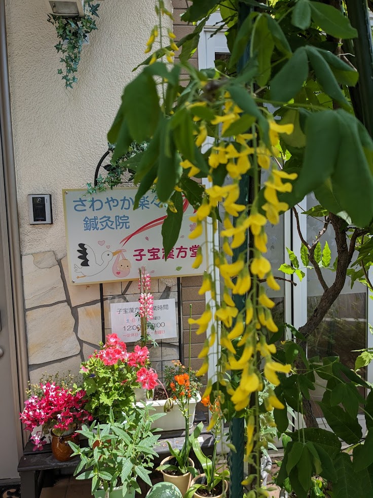 さわやか楽々鍼灸院 子宝漢方堂