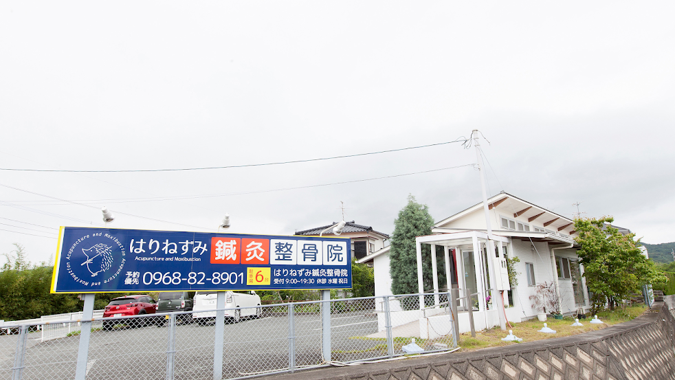 はりねずみ鍼灸整骨院