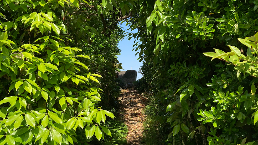 はりたす治療院