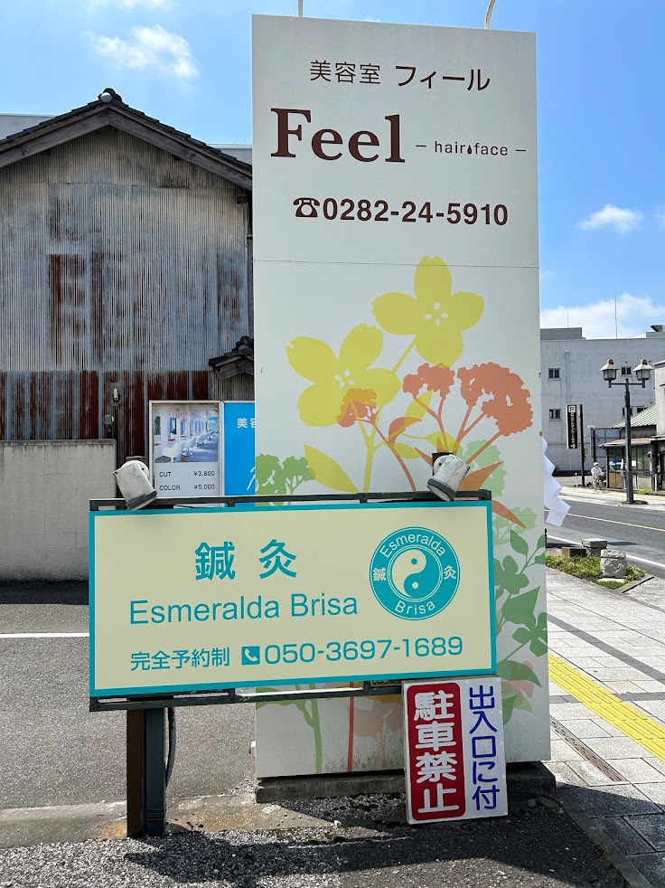 鍼灸 Esmeralda Brisa