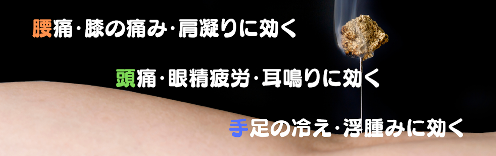 ふくだ鍼灸院