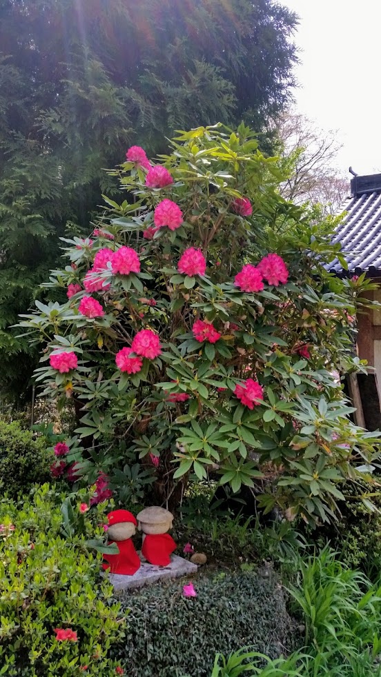 にしだ訪問マッサージセンター 朝見・針・灸院
