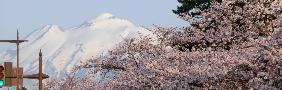 亀谷針灸マッサージ院