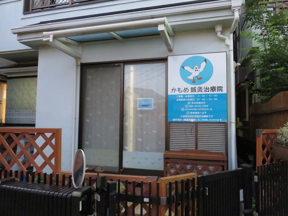 かもめ鍼灸治療院