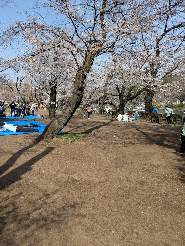 井の頭鍼灸院