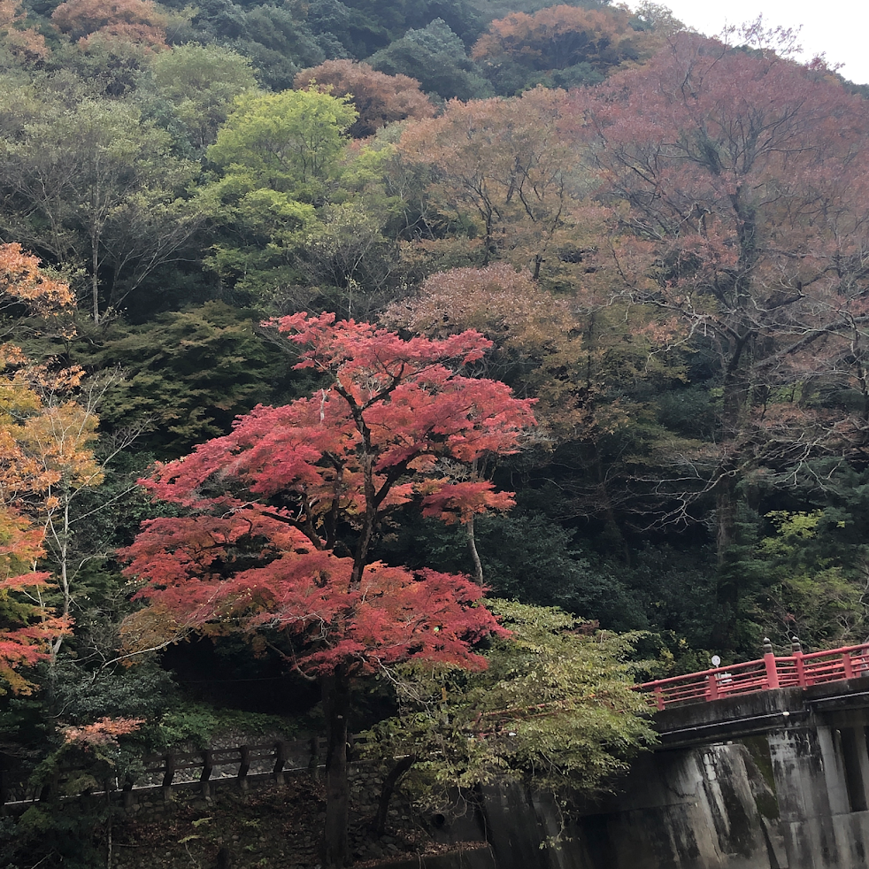 ひろ治療院
