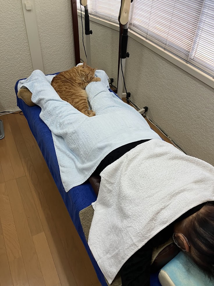 みやはら鍼灸院