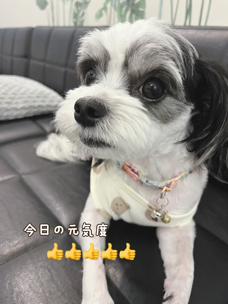 南塚鍼灸整骨院