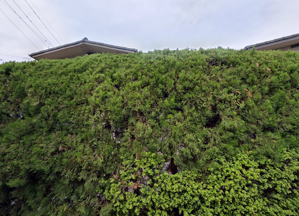 河村治療院