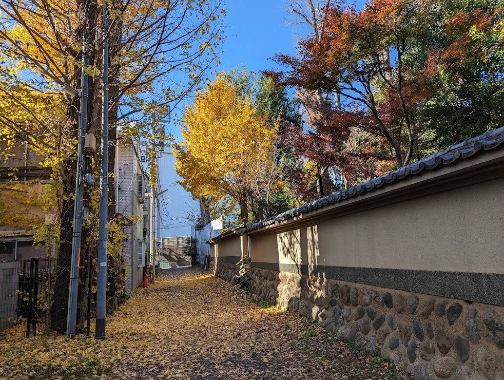 鍼灸指圧 てのひら堂