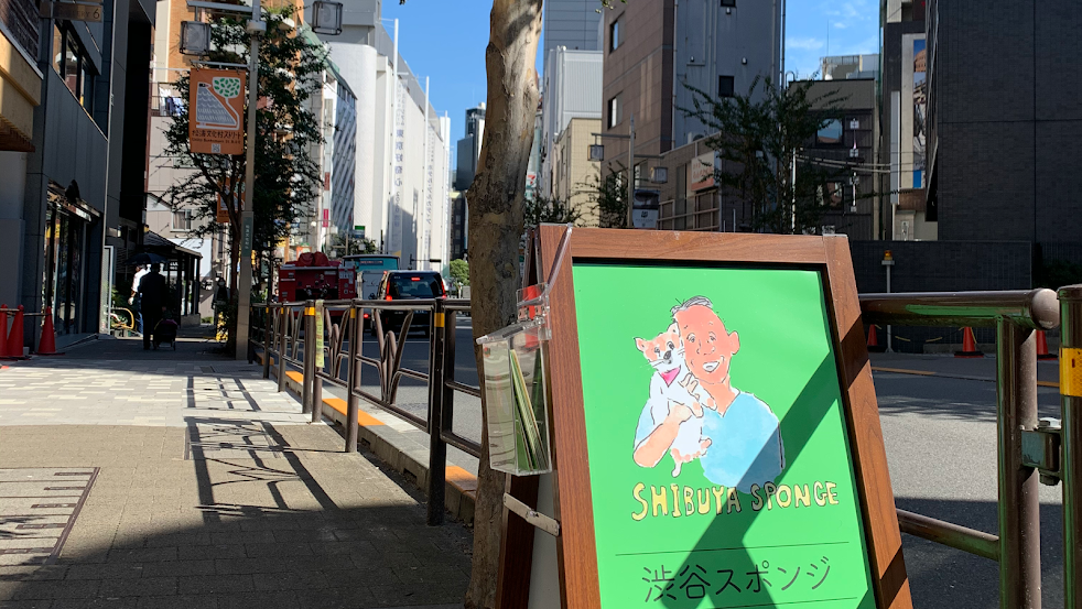 渋谷スポンジ