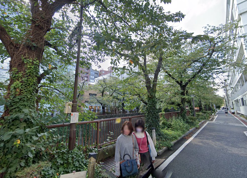 momoメディカル鍼灸院