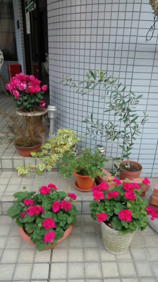 福井鍼灸院 整骨院