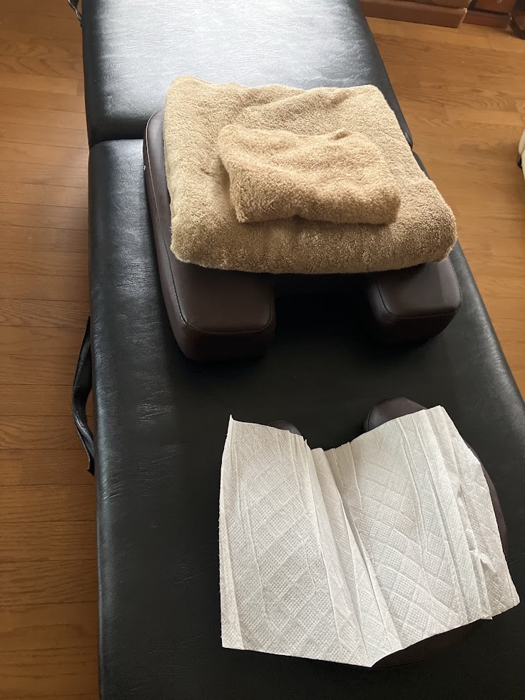 IRUKA鍼灸整体院