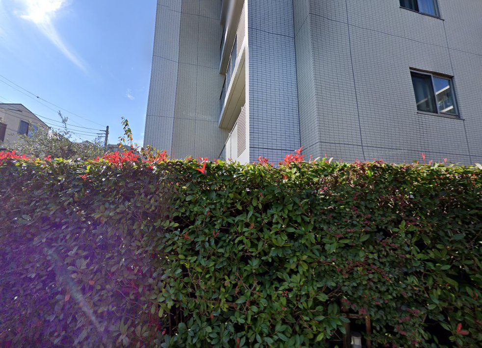 きくな鍼灸マッサージ治療院