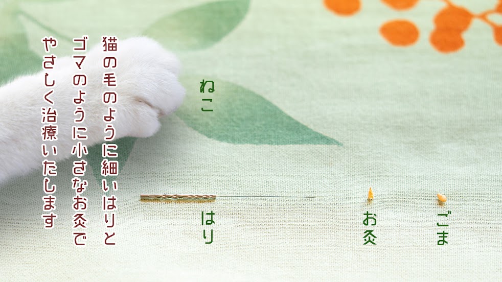 成鍼堂治療院