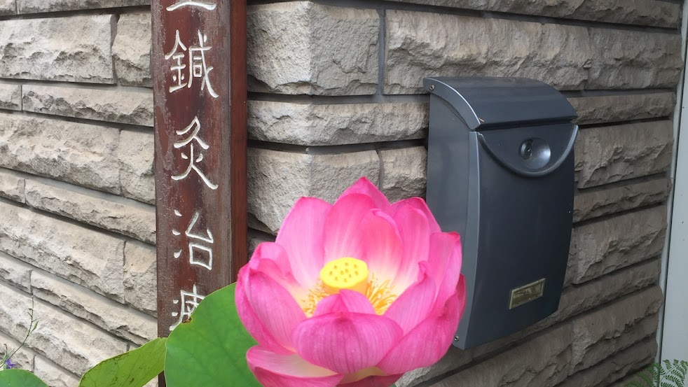 一輪堂鍼灸治療院