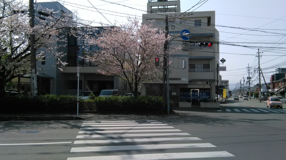 つくまの鍼灸院