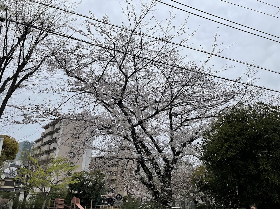 Hariethica〜ハリエシカ