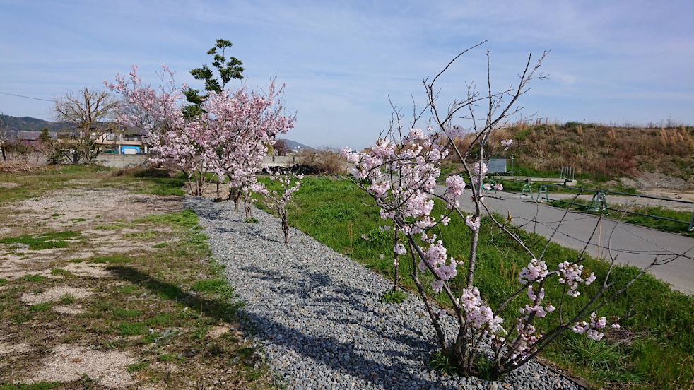 中川鍼灸