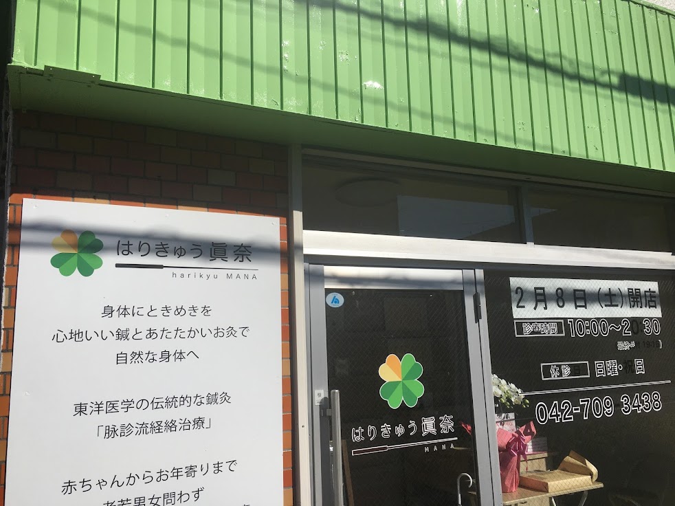 はりきゅう眞奈