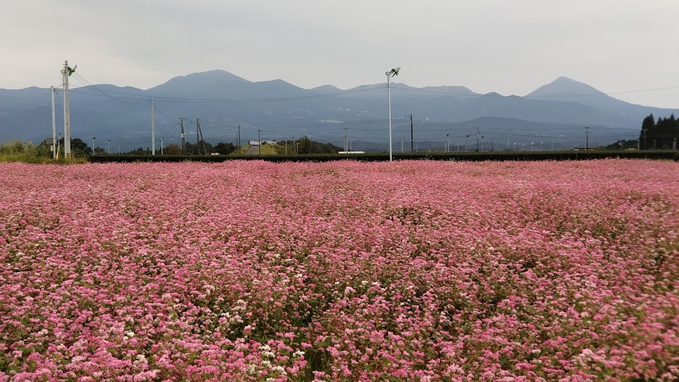 きりしま治療院
