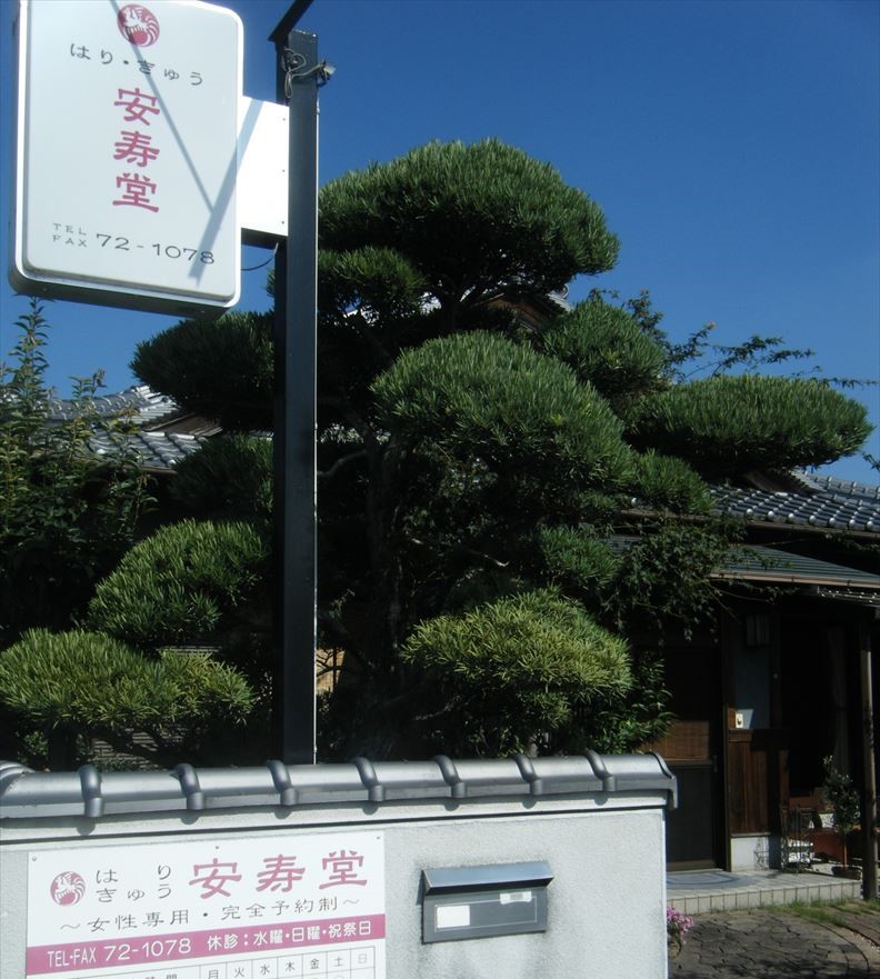 安寿堂