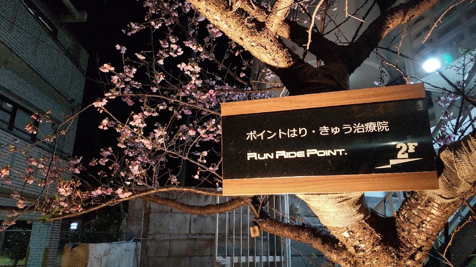 ポイントはり・きゅう治療院