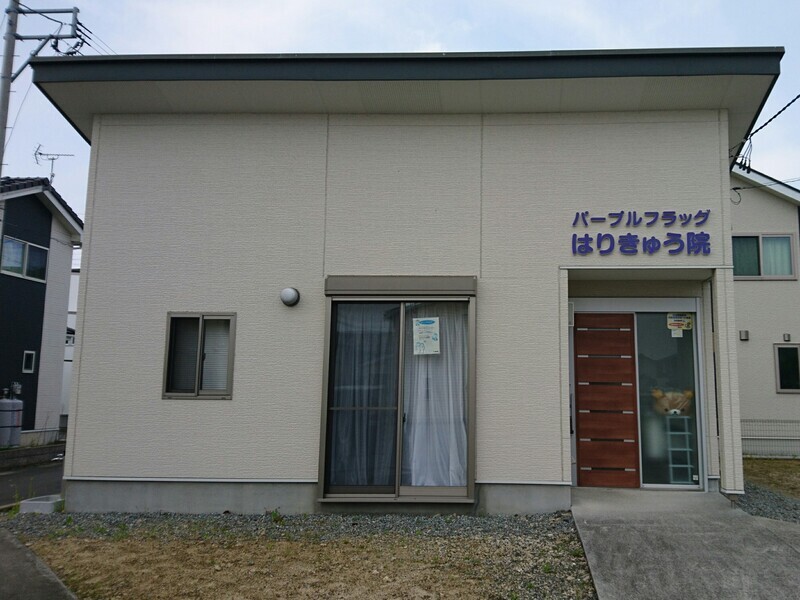 パープルフラッグはりきゅう院