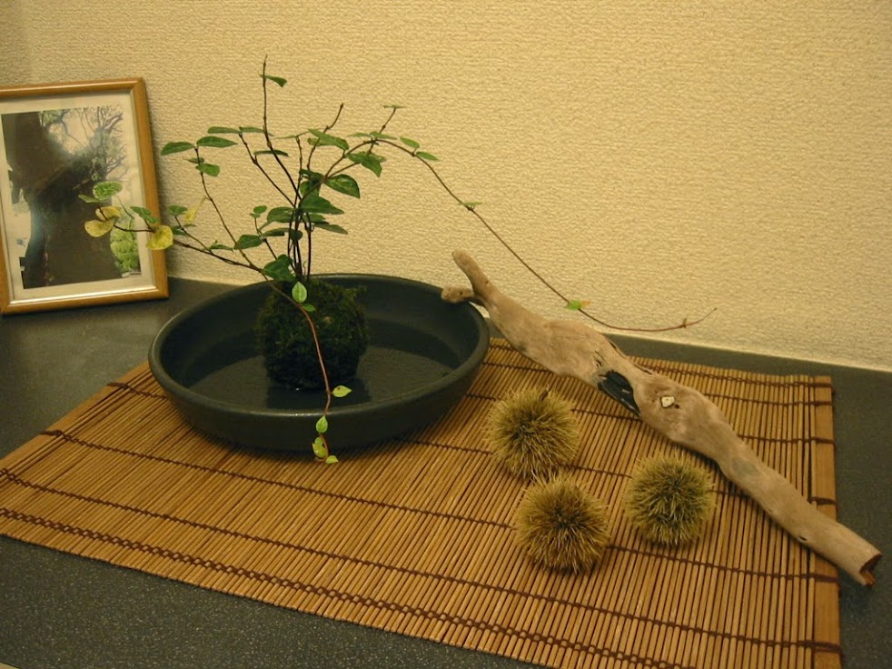 鍼灸専門 高木治療院